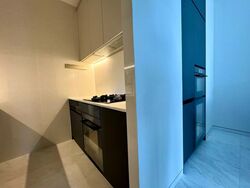 Cairnhill 16 (D9), Apartment #591952301